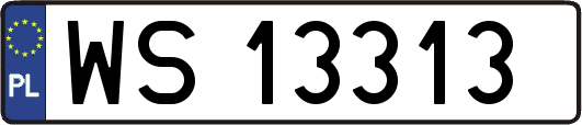 WS13313