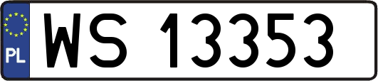 WS13353