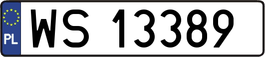 WS13389