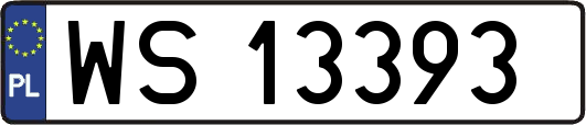 WS13393