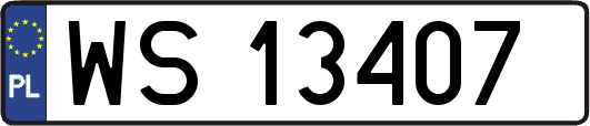 WS13407