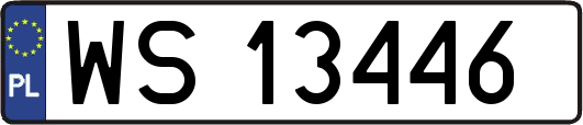 WS13446