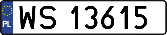WS13615