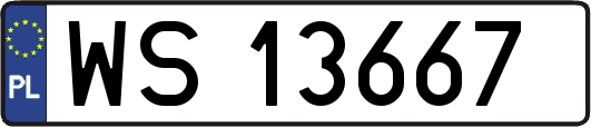 WS13667