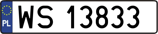 WS13833