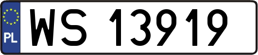 WS13919