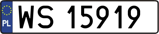 WS15919