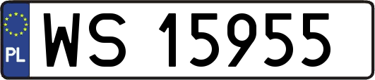 WS15955