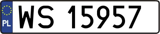 WS15957