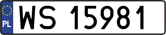 WS15981