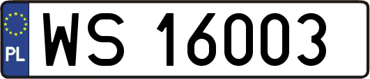 WS16003