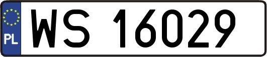 WS16029