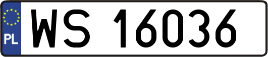 WS16036