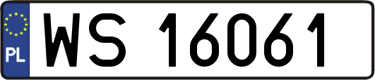 WS16061