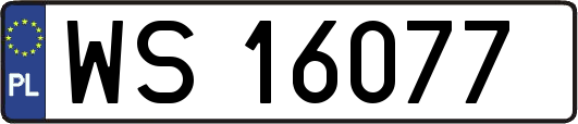 WS16077