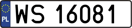 WS16081