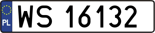 WS16132