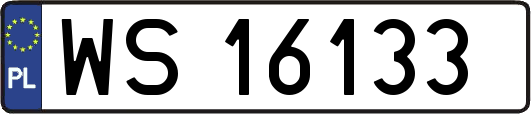 WS16133