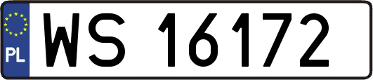 WS16172
