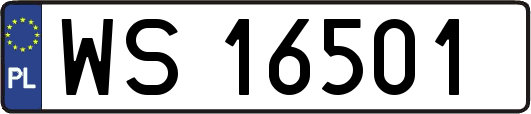 WS16501