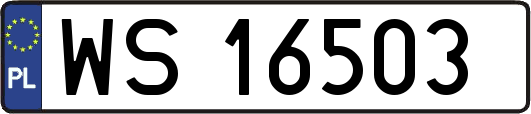 WS16503