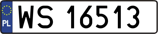 WS16513