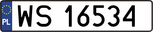 WS16534
