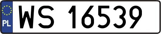 WS16539