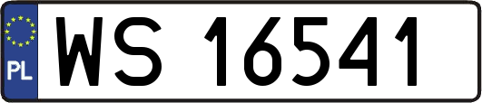 WS16541