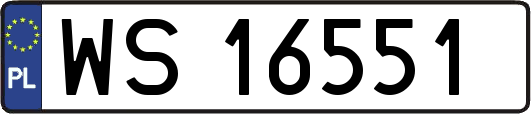 WS16551