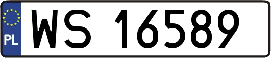 WS16589