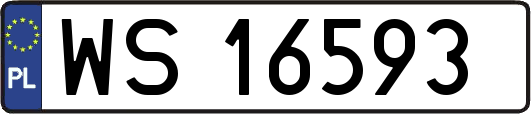 WS16593