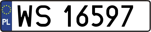 WS16597