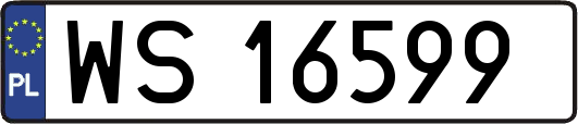 WS16599