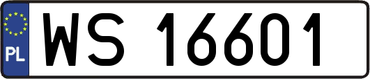 WS16601