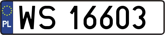 WS16603