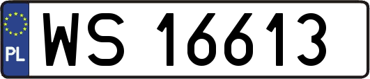 WS16613