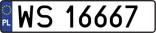 WS16667