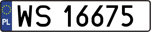 WS16675