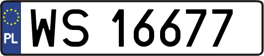 WS16677
