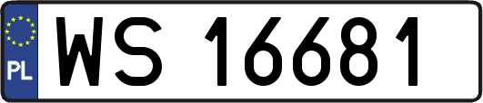 WS16681