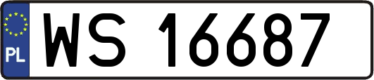 WS16687