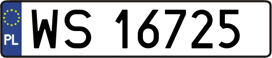 WS16725