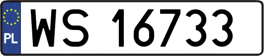 WS16733