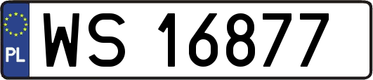 WS16877