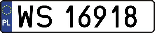 WS16918