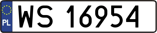 WS16954