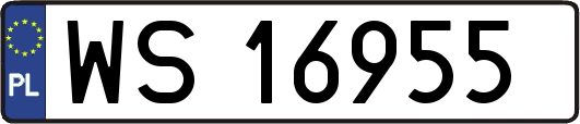 WS16955