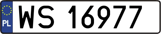 WS16977