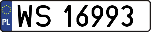 WS16993